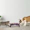 Pet Adobe Elevated Pet Bowls with Non-Slip Stand for Food and Water, Dogs / Cats 16-ounce Each, Pink 986153RPH - alternate 4
